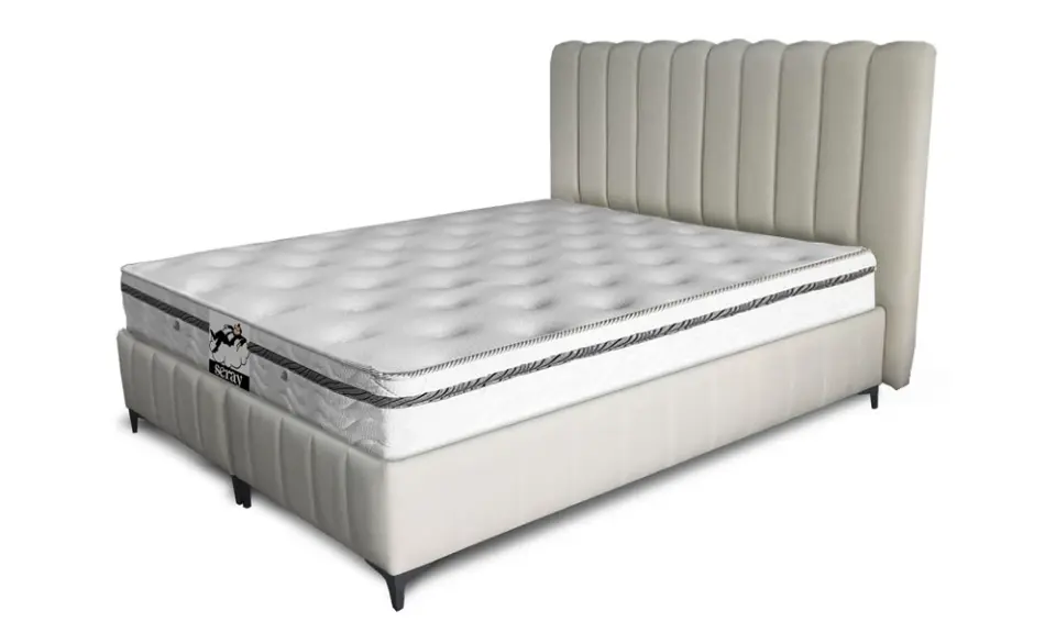 Seroxi Baza Başlık