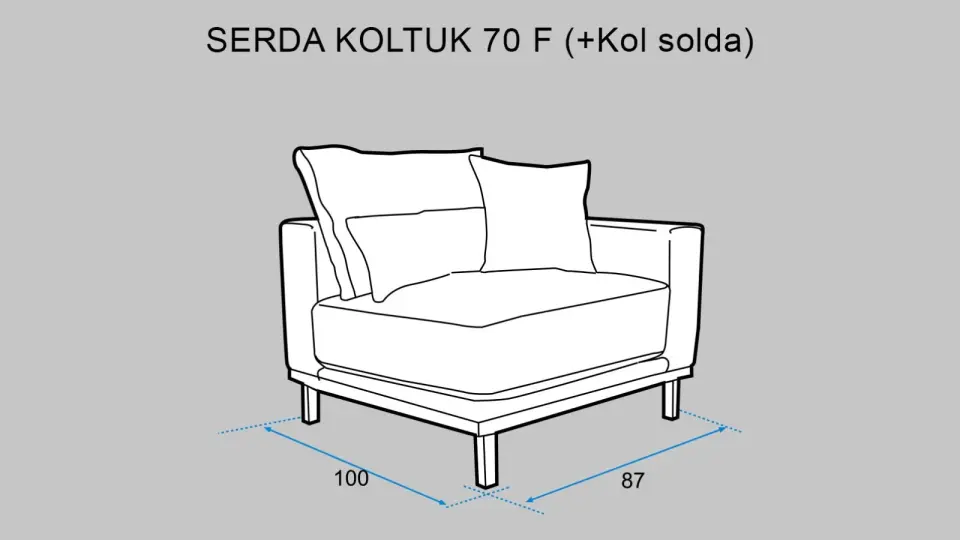 Serda SR 70 Sol Kollu Modül